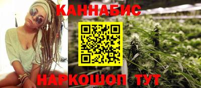 индика Гусев