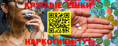 индика Гусев
