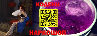 индика Гусев