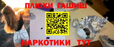 индика Гусев