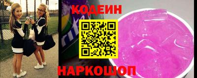индика Гусев