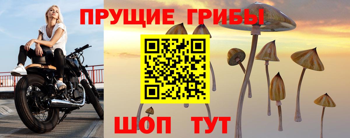 Острогожск  Псилоцибиновые грибы мицелий  где купить наркоту  Вход с VPN 